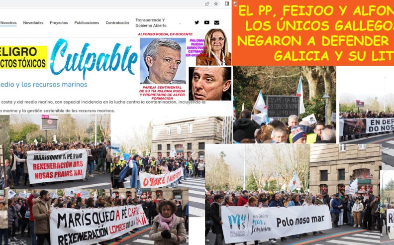 La única lectura de la multitudinaria manisfestacion por los pelllets fué la ausencia del PP rechazando defender el Mar de Galicia y su litoral.