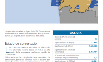  Arco Iris reclama ampliar las zonas IBA en Galicia