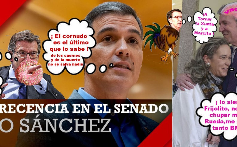 Pedro Sánchez advierte a FEIJÓO-PP en el Congreso; 