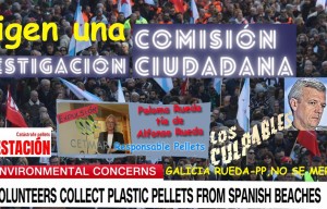 Alfonso Rueda, su Plan Cangal, la ausencia del Comité de expertos de Paloma Rueda y Tragsa mienten descaradamente a la sociedad sobre los pellets. Cómo es posible eso?