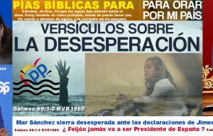 Mar Sánchez Sierra desesperada por si el PP pierde las elecciones en Galicia como afirman las encuestas