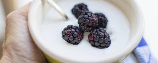Cuáles son los ingredientes para hacer yogur casero y cómo prepararlo