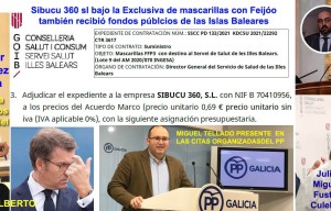 Con quien habló Koldo y Alberto para que Sibucu 360 obtuviese contratos de mascarillas en Baleares