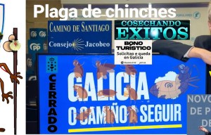 La Presidencia de Alfonso Rueda sera historia por convertir los chinches en perigrinos del Camino de Santiago para negocio de la asesora de Feijóo