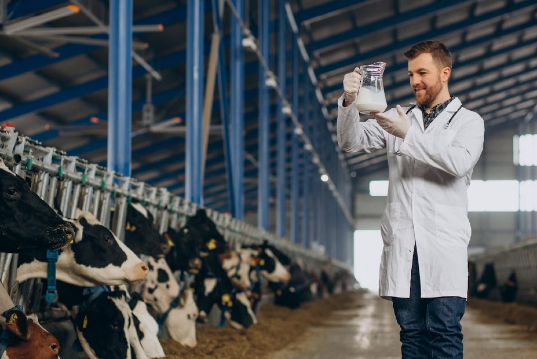 Todo lo que hay que saber sobre la maquinaria en la industria láctea